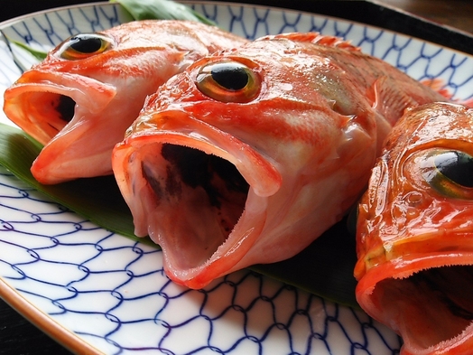 幻の高級魚　ユメカサゴの塩焼き付海鮮プラン